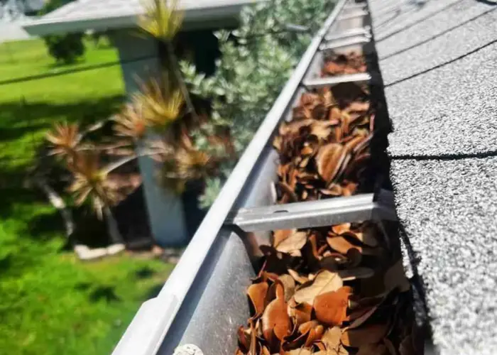 Erie gutter cleaning home page
